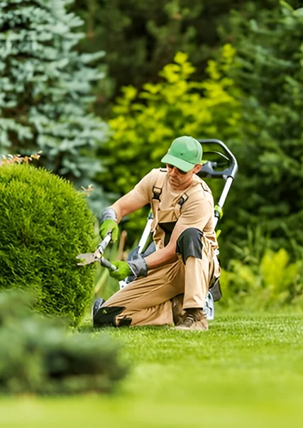Art Des Jardins Paysagiste Rambouillet Entretien De Jardins